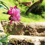 Villa Typical Tuscan In Charming Position Between Panzano -greve In Chianti *