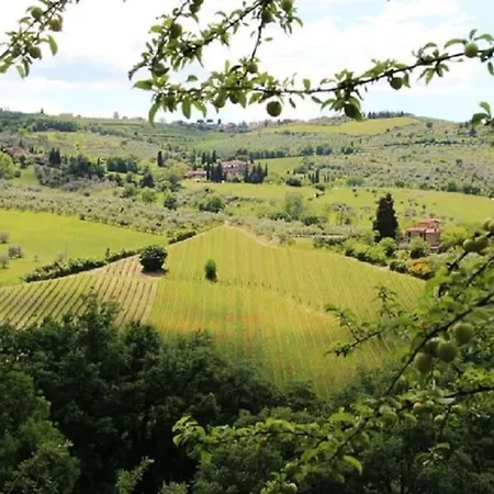 Typical Tuscan In Charming Position Between Panzano -greve In Chianti Villa