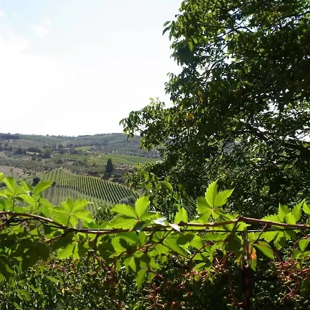 Villa Typical Tuscan In Charming Position Between Panzano -greve In Chianti