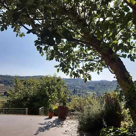 Typical Tuscan In Charming Position Between Panzano -greve In Chianti * Lamole
