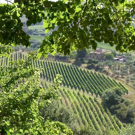 Typical Tuscan In Charming Position Between Panzano -greve In Chianti